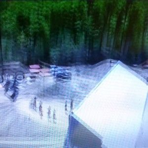 Meet your Posher, Teddy